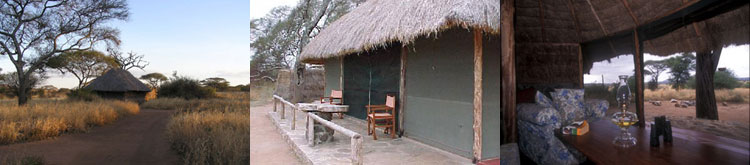 Naotiloa Eco-Lodge - surrounds