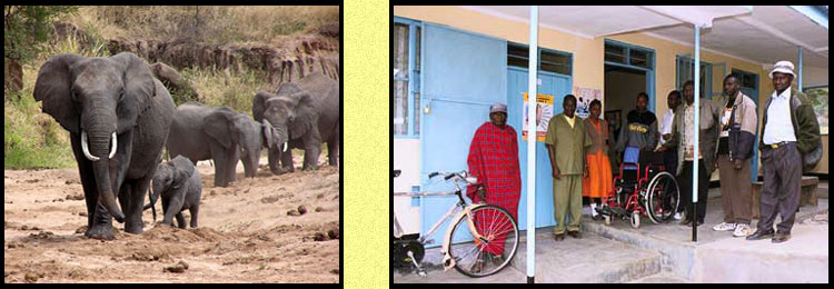 Elephants at Sand River and Lolkisale Clinic